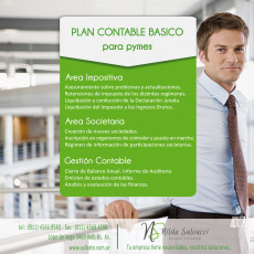 Plan-Contable-Basico-Pymes-Estudio-Contable-Nilda-Salvucci.jpg